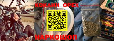сатива Бузулук