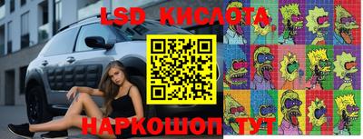 сатива Бузулук