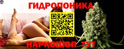 сатива Бузулук
