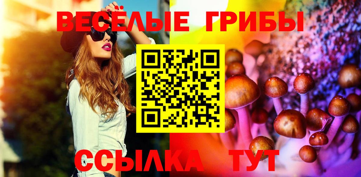 Самара  хочу   Псилоцибиновые грибы Psilocybine cubensis  Вход с VPN  Галлюциногенные грибы Magic Shrooms 
